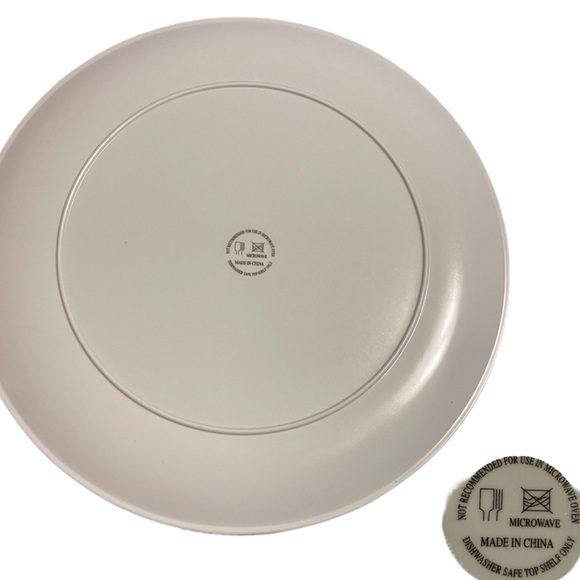 Set of 10 BBQ Melanine Plates - Picture 4 of 4